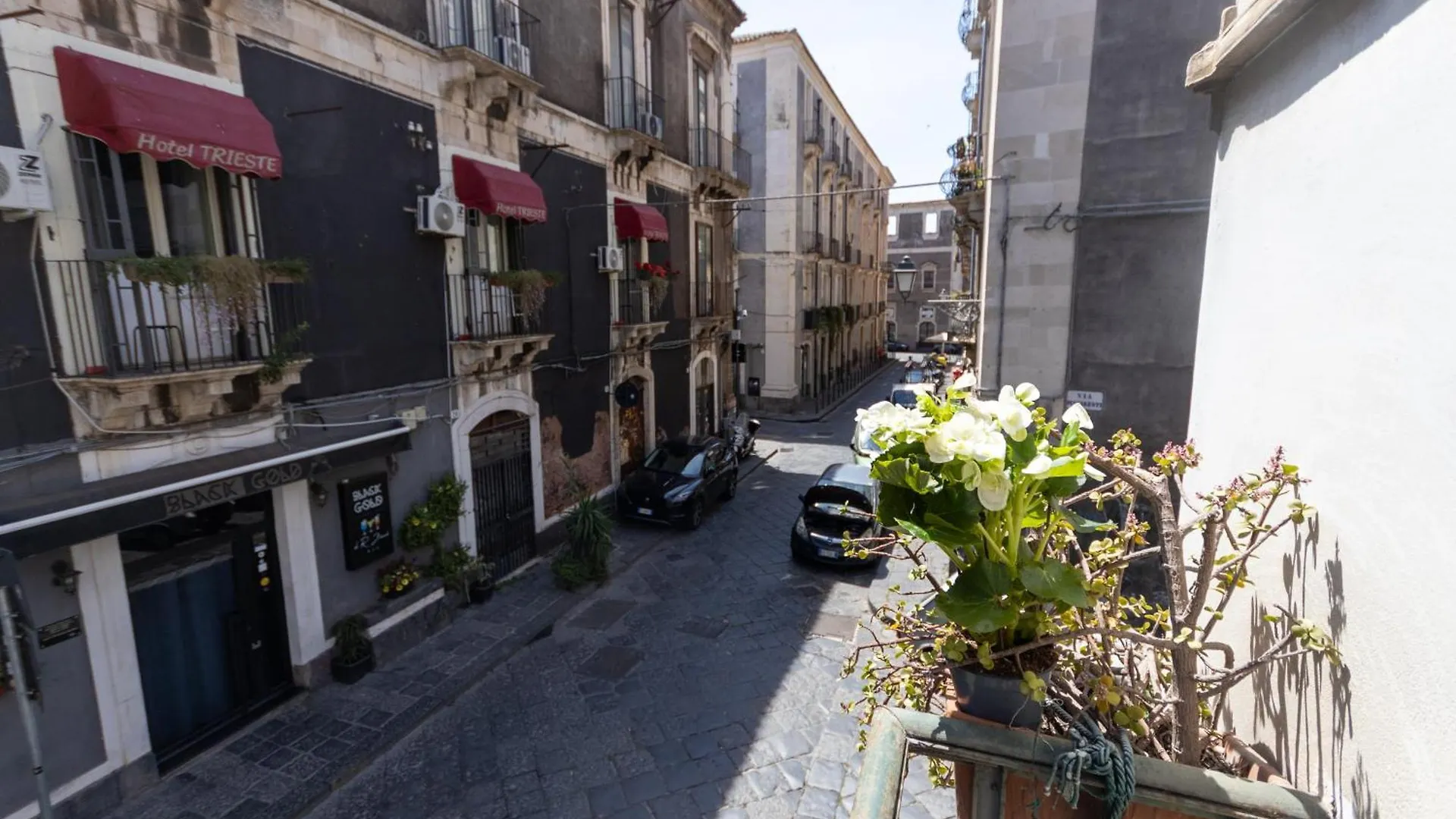 Bellini Theater Palace Catania